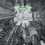 OUTER ISOLATION (CD)