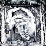 WOODS 5: GREY SKIES & ELECTRIC LIGHT (CD)