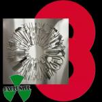 SURGICAL STEEL RED VINYL (2LP)