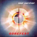 SOUL SURVIVOR VINYL (LP 180G)