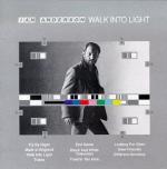 WALK INTO LIGHT (CD)