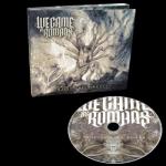 TRACING BACK ROOTS LTD. EDIT. (DIGI)