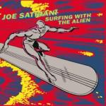 SURFING WITH THE ALIEN VINYL (LP)