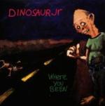 WHERE YOU BEEN VINYL (LP)