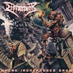 WHERE IRONCROSSES GROW RE-ISSUE (CD)