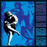 USE YOUR ILLUSION II VINYL (2LP)