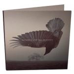 FALL OF HEARTS (DIGI)