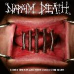 CODED SMEARS AND MORE UNCOMMON SLURS (2CD) CODED SMEARS AND MORE UNCOMMON SLURS (2CD)