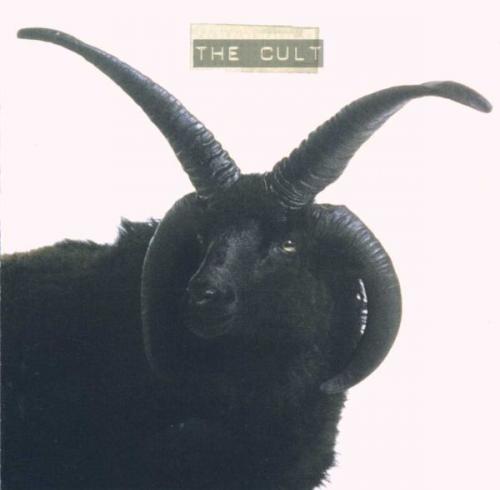 THE CULT REISSUE (CD)
