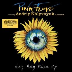 HEY HEY RISE UP (FEAT. ANDRIY KHLYVNYUK OF BOOMBOX) (CDS)