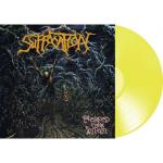 PIERCED FROM WITHIN TRANSP. YELLOW VINYL (LP)