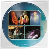 HIGH AND MIGHTY PICTURE VINYL REISSUE (PD)
