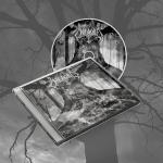 AS YGGDRASIL TREMBLES REISSUE (CD) AS YGGDRASIL TREMBLES REISSUE (CD)