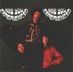 ARE YOU EXPERIENCED REMASTERED (CD)
