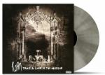 TAKE A LOOK IN THE MIRROR SILVER VINYL (2LP)