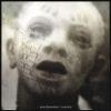        PAIN OF SALVATION - SCARSICK [InsideOut/ Wizard]     [!]   :
